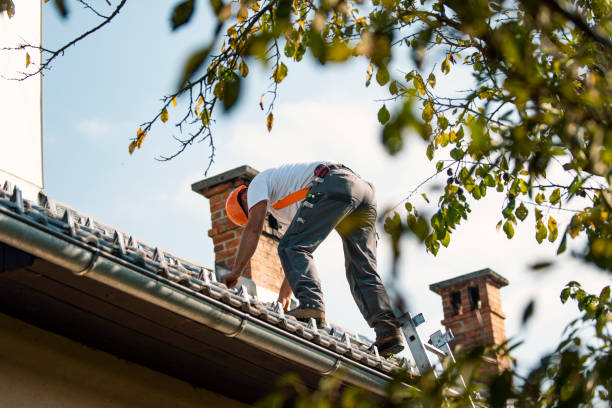 Best Slate Roofing Contractor  in Elmo, TX