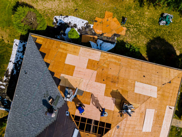 Best Flat Roof Repair Services  in Elmo, TX