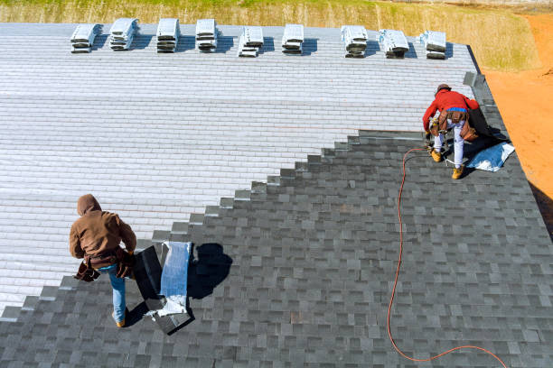 Best Roof Maintenance Services  in Elmo, TX