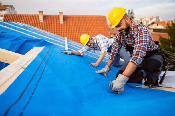 Best Roof Gutter Cleaning  in Elmo, TX