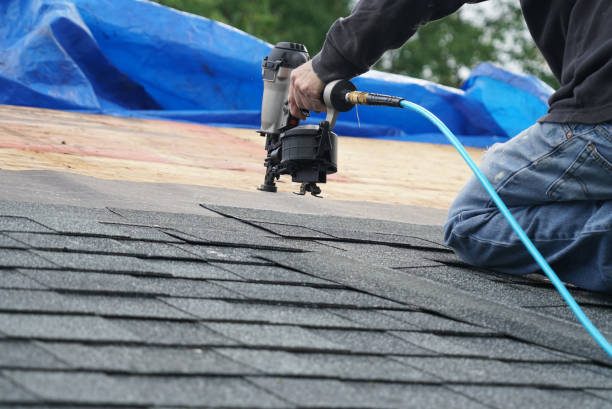 Best Storm Damage Roof Repair  in Elmo, TX