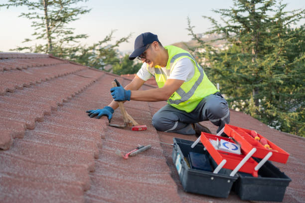 Best Commercial Roofing Services  in Elmo, TX