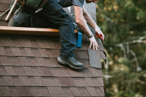 Best Roof Waterproofing Services  in Elmo, TX