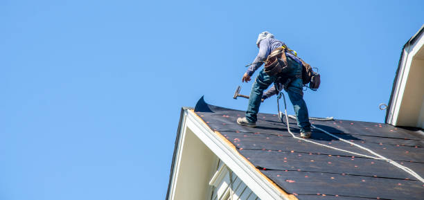 Best Local Roofing Companies  in Elmo, TX
